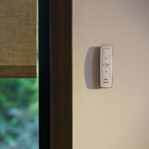 Fjernkontroll Situo 5 Pure 10L IO